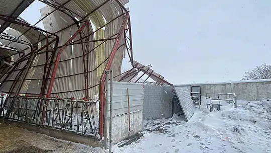 Kayseri'de karın ağırlığına dayanamayan ahırın çatısı çöktü: 17 hayvan telef oldu