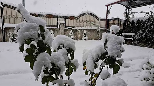 Kayseri'de kasım ayında son 20 yılın en fazla kar yağışı yaşandı