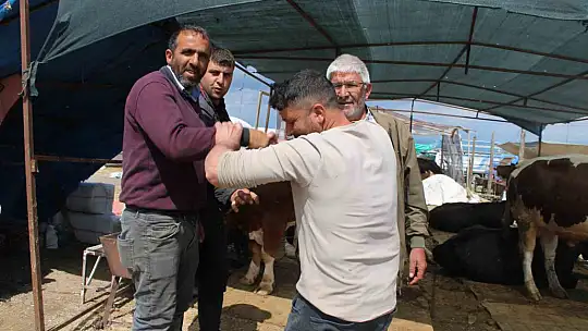 Kayseri'de kurban pazarlıklar hareketlendi