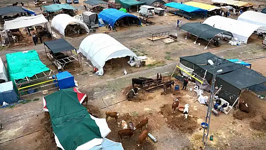 Kayseri'de kurban pazarlıklar hareketlendi