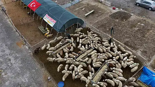 Kayseri'de kurban pazarlıklar hareketlendi