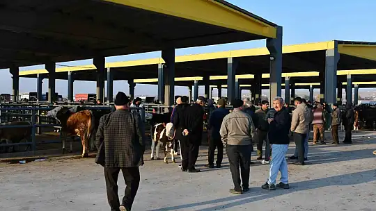 Kayseri'de Kurbanlık Tavsiye Fiyatları açıklandı
