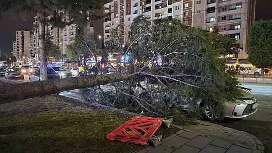 Kayseri'de kuvvetli rüzgar: Ağaç otomobilin üzerine devrildi