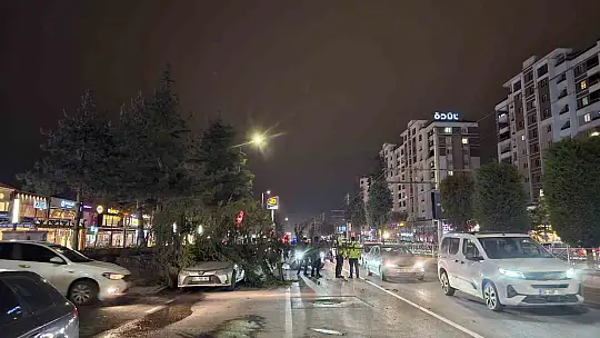 Kayseri'de kuvvetli rüzgar: Ağaç otomobilin üzerine devrildi