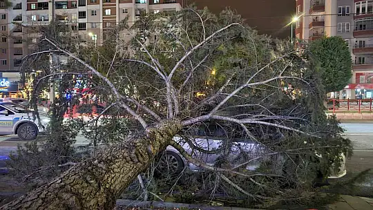 Kayseri'de kuvvetli rüzgar: Ağaç otomobilin üzerine devrildi