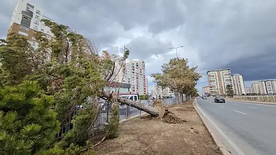 Kayseri'de kuvvetli rüzgarın bilançosu: itfaiye 32 olaya müdahale etti