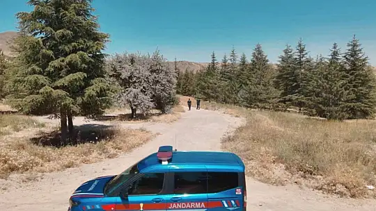Kayseri'de ormanlar jandarma tarafından korunuyor