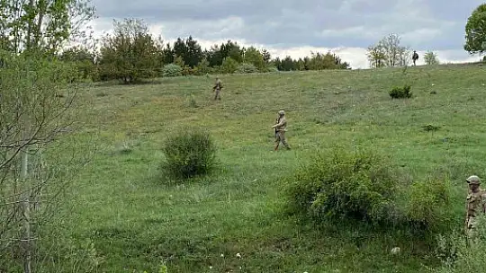 Kayseri'de ormanlar jandarma tarafından korunuyor