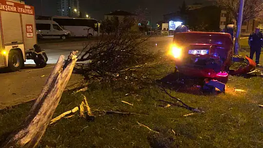 Kayseri'de otomobil ağaçlara çarpıp ters döndü: 2 yaralı
