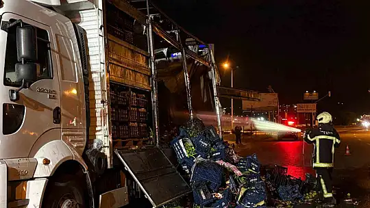 Kayseri'de sebze ve meyve yüklü kamyon alevlere teslim oldu