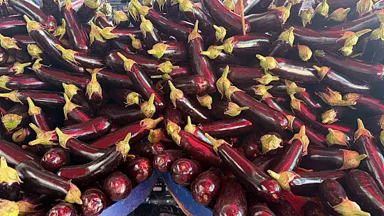 Kayseri'de semt pazarlarındaki fiyatlar yüz güldürüyor