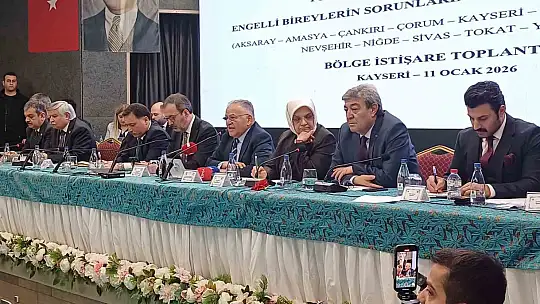 Kayseri'de TBMM Engelli Bireylerin Sorunlarını Araştırma Komisyonu toplandı