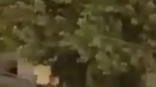 Kayseri'deki bıçaklı kavgada ölen şahsın, olay öncesi keserle yürüdüğü anlar kameraya yansıdı