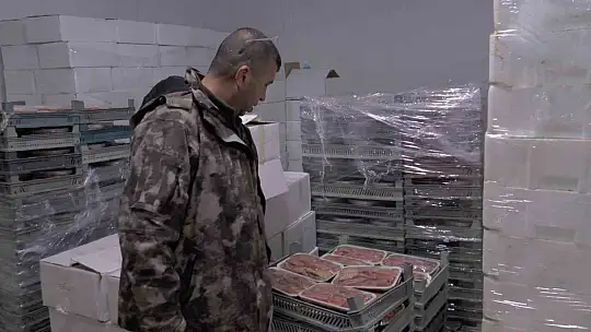 Kayseri'den 6 ülkeye 10 bin 500 ton balık ihracatı