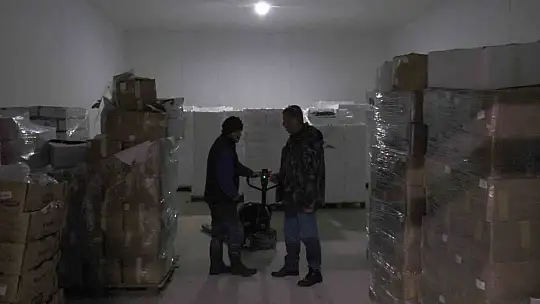 Kayseri'den 6 ülkeye 10 bin 500 ton balık ihracatı