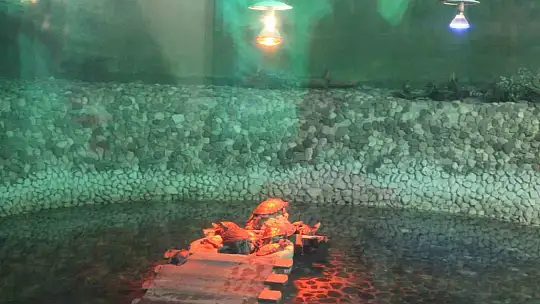 Kayseri Hayvanat Bahçesi'nde tropikal iklim hayvanları özel sistemlerle ısıtılıyor