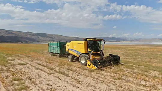 Kayseri hayvancılıkta Türkiye'de ilk 10 içerisinde