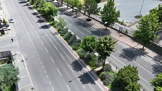 Kayseri'nin dört bir yanına lavanta esintisi