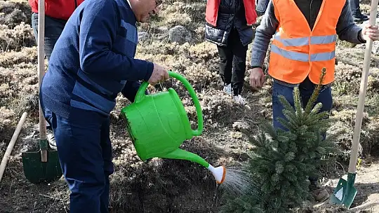 Kayseri'nin yeşil dokusuna 155 milyon TL'lik yatırım