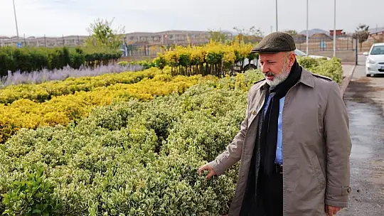 Kayseri'nin yeşil örtüsü Kocasinan'da filizleniyor