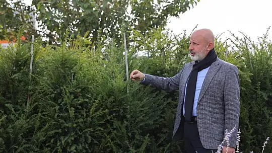 Kayseri'nin yeşil örtüsü Kocasinan'da filizleniyor