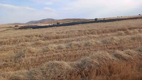Kayseri Tomarza'da 2 günde 4 ekili arazide yangın çıktı