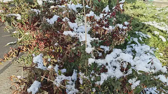 Kayseri'ye Nisan ayında kar yağdı