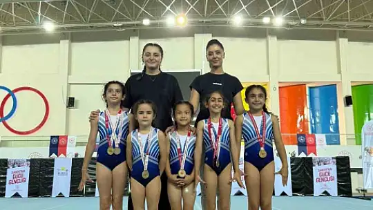 Kayserili jimnastikçilerTürkiye finalinde