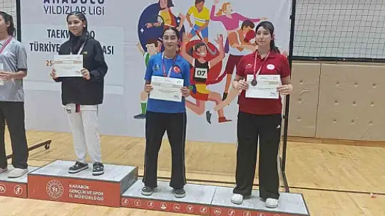 Kayserili Taekwondocular ANALİG Türkiye Şampiyonası'nda Zirvede