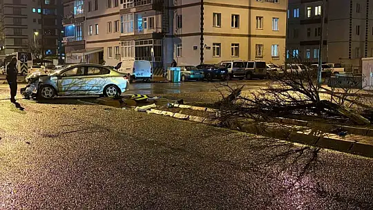 Kaza savrulan otomobil ağacı ikiye böldü: 4 yaralı