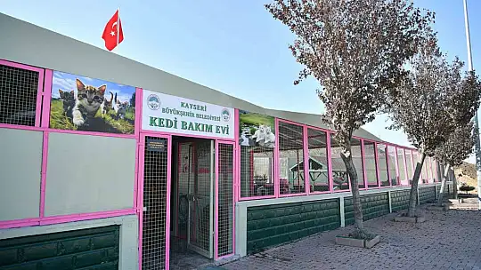Kedi Bakım Evi örnek hizmet sunuyor