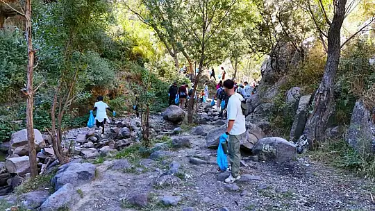 Kırlangıç Vadisi'nde yeşil seferberlik
