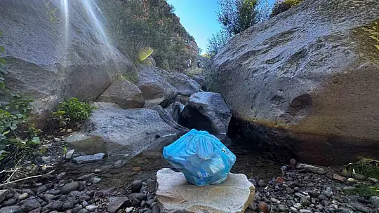 Kırlangıç Vadisi'nde yeşil seferberlik