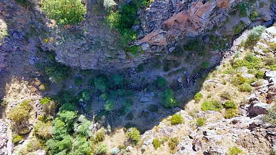 Kırlangıç Vadisi'nde yeşil seferberlik