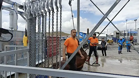 Kocasinan Belediyesi Kurban Bayramı'na hazır