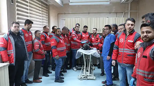Kocasinan Belediyesi'nden veterinerlik personeline sertifikalı eğitim