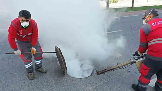 Kocasinan'da 12 ay kesintisiz çevreci ve bilimsel yöntemlerle haşere mücadelesi