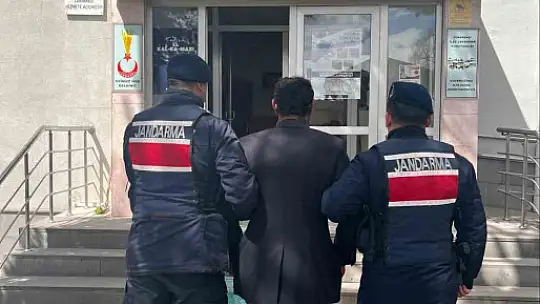 Köpeği zincirle ağaca asarak öldüren şahıs gözaltına alındı