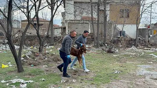 Köpek saldırısında yaralanan 3 yaşındaki bebek 34 gün sonra evine kavuştu