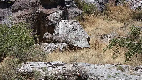 Koramaz Vadisi'nde 'pareidolia' keşfi: Kayalar ve ağaçlar farklı anlamlar taşıyor