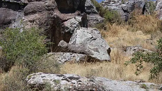 Koramaz Vadisi'nde 'pareidolia' keşfi: Kayalar ve ağaçlar farklı anlamlar taşıyor