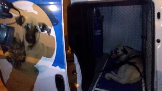 Küçük Dostlar Ambulansı ile 8 bin 753 can kurtarıldı