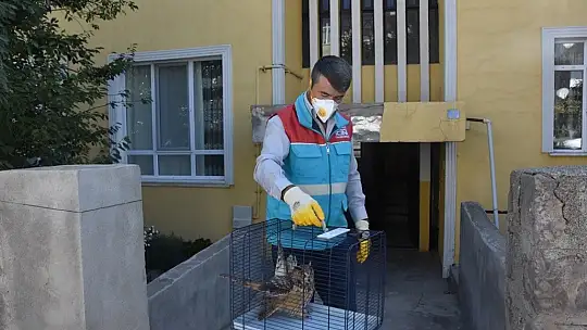 Küçük Dostlar Ambulansı ile 8 bin 753 can kurtarıldı