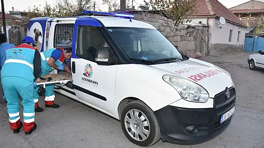 Küçük Dostlar Ambulansı ile 8 bin 753 can kurtarıldı