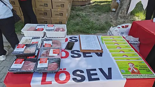 LÖSEV'den 250 aileye et dağıtımı
