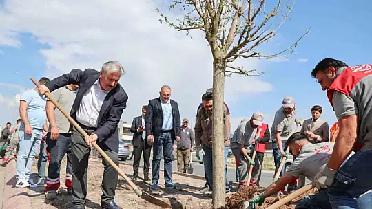 Melikgazi, ağaçlandırma çalışmaları ile geleceğe daha yeşil bir miras bırakıyor