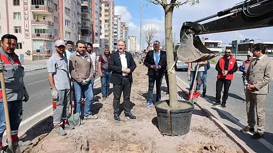 Melikgazi, ağaçlandırma çalışmaları ile geleceğe daha yeşil bir miras bırakıyor