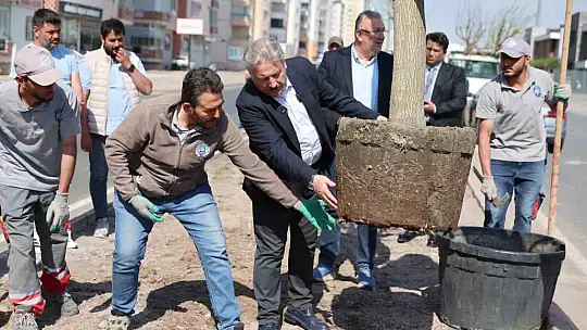 Melikgazi, ağaçlandırma çalışmaları ile geleceğe daha yeşil bir miras bırakıyor