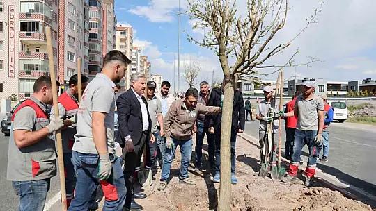 Melikgazi, ağaçlandırma çalışmaları ile geleceğe daha yeşil bir miras bırakıyor