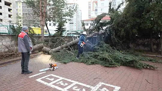 Melikgazi Belediyesi ekipleri rüzgar mesaisinde